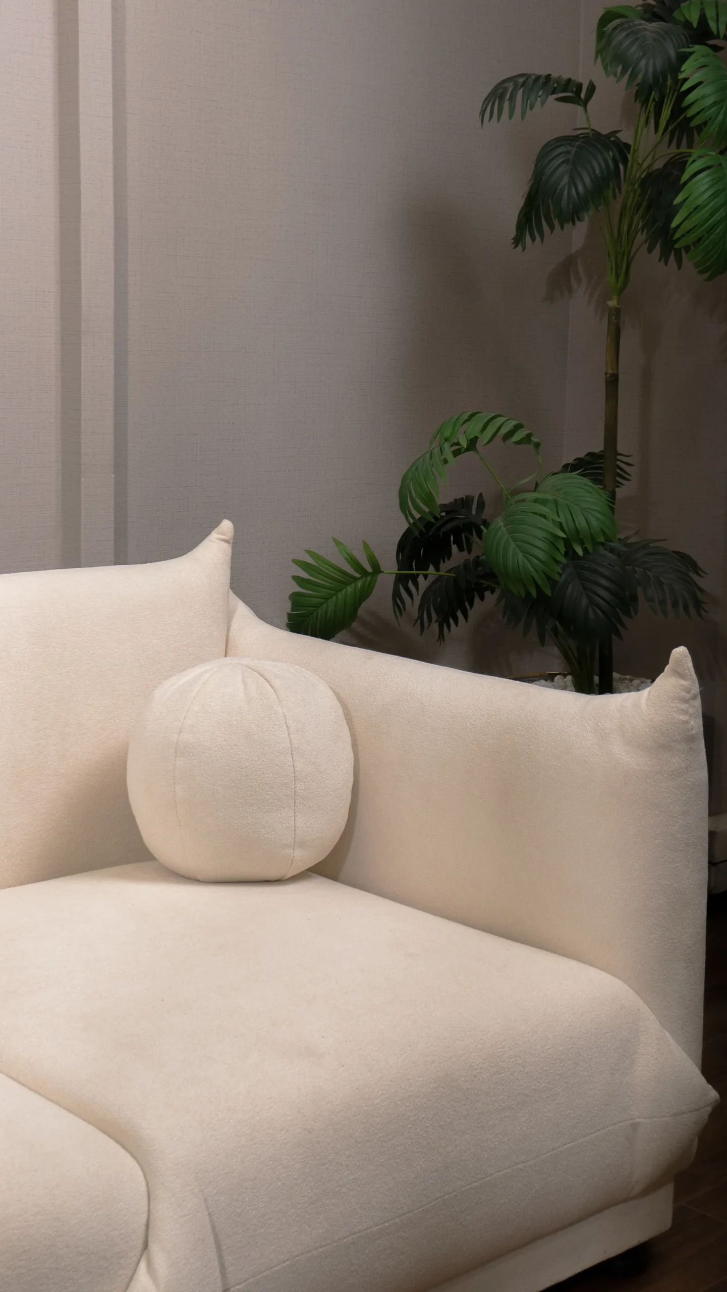 Comfort Cove - Image 5